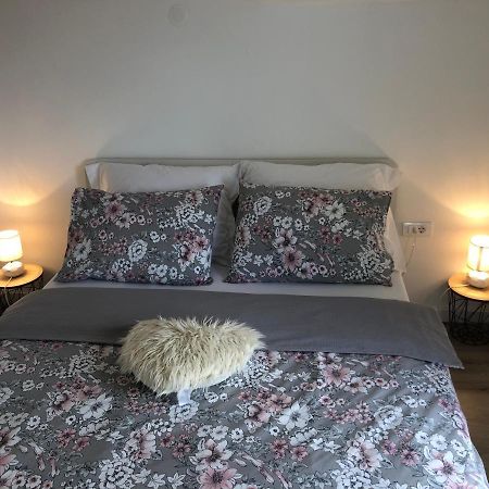 Apartman Gabriel Zadar公寓 外观 照片